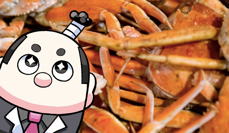 声優タレントオーディション 応募 募集 福井県 もっちょさん